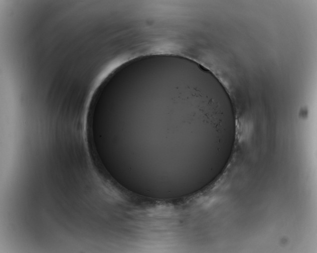 X0000102390196200808151928