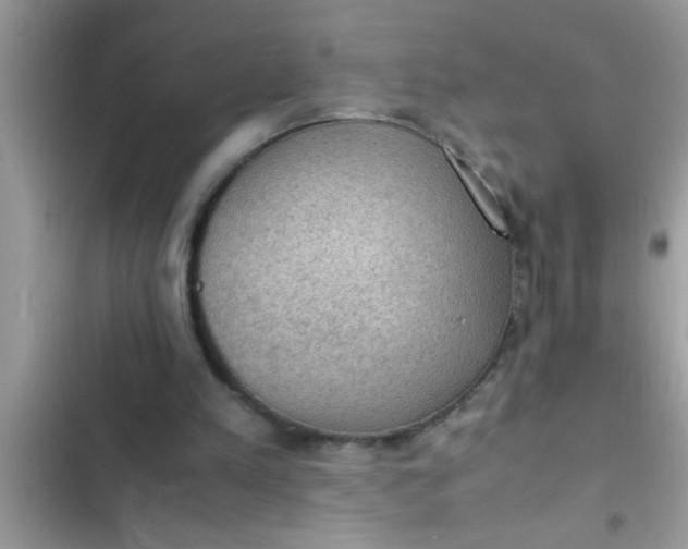 X0000102390197200808151928