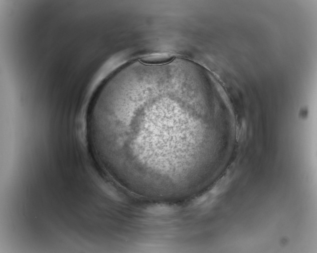 X0000102390198200808151928