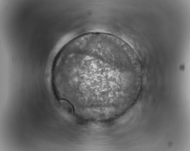 X0000102390199200808151928