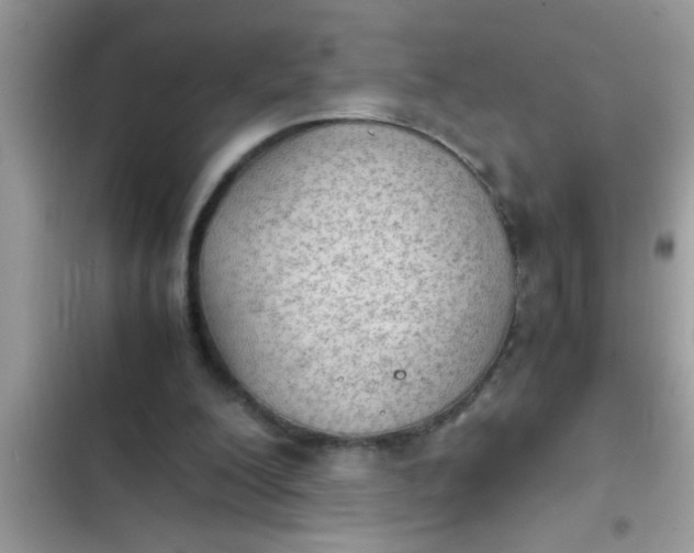 X0000102390200200808151928