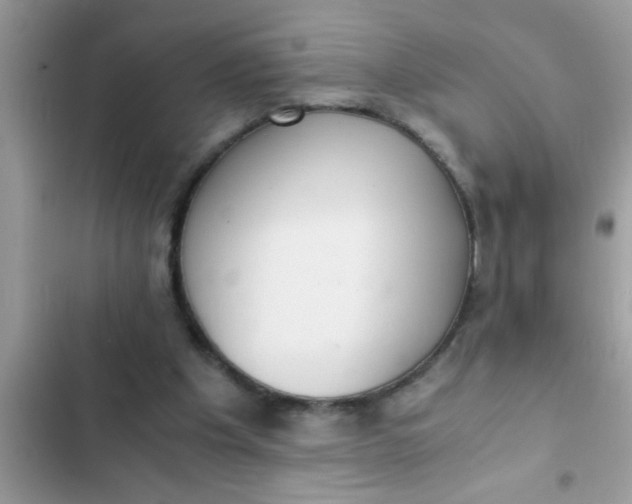 X0000102390201200808151928