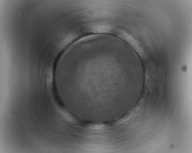 X0000102390202200808151928