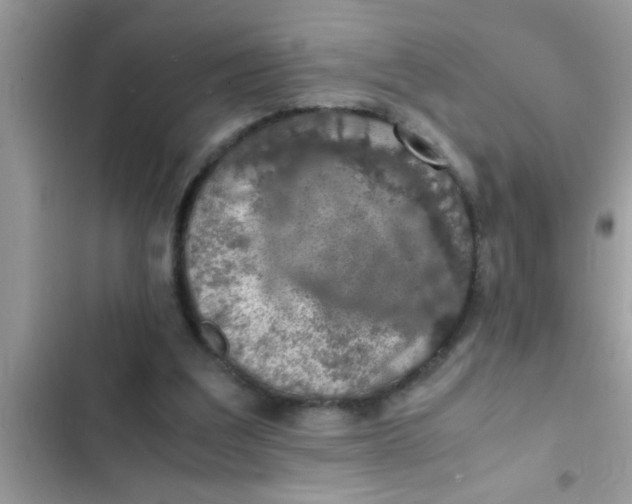 X0000102390203200808151928