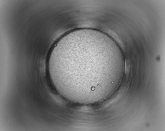 X0000102390204200808151928