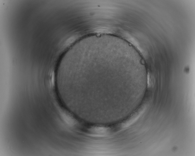 X0000102390205200808151928