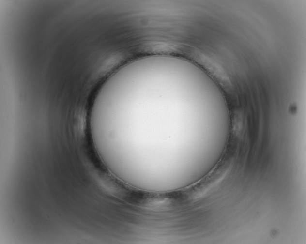 X0000102390206200808151928