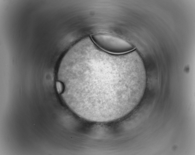 X0000102390207200808151928