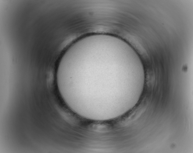 X0000102390208200808151928