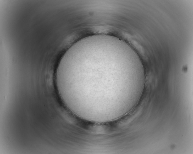 X0000102390209200808151928