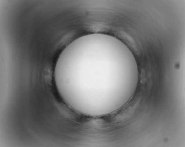 X0000102390210200808151928