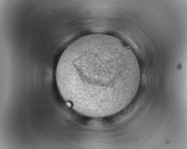 X0000102390211200808151928