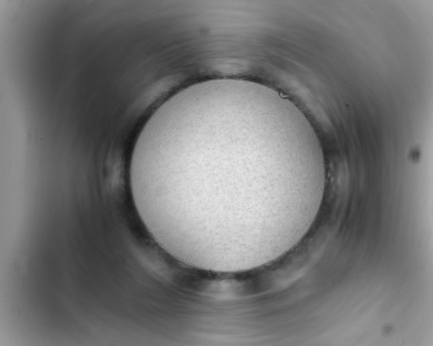 X0000102390212200808151928