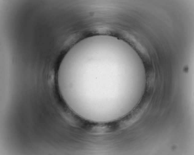 X0000102390213200808151928