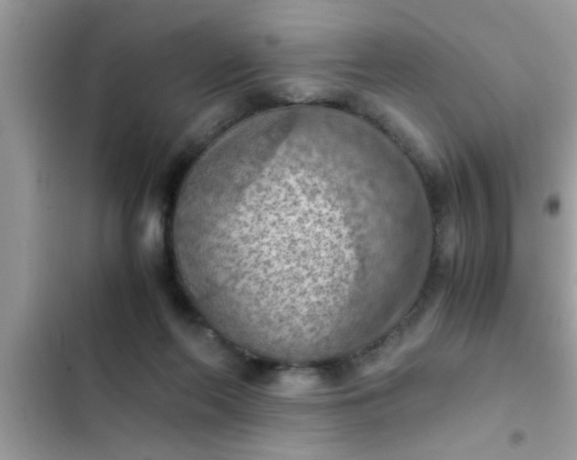 X0000102390214200808151928