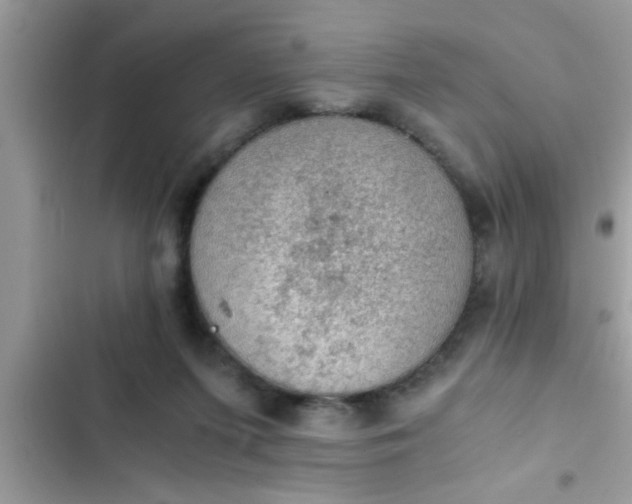 X0000102390215200808151928