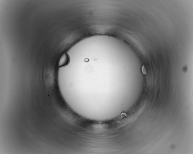 X0000102390216200808151928