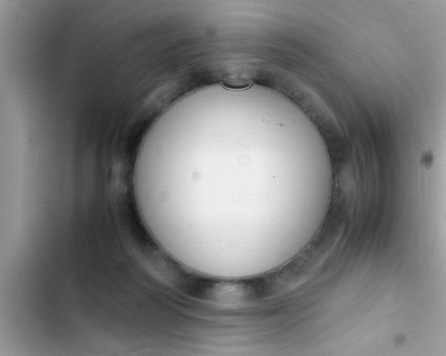 X0000102390218200808151928