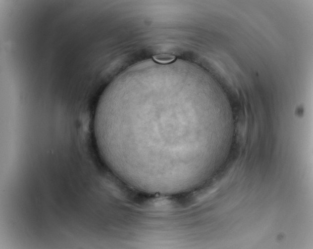 X0000102390219200808151928