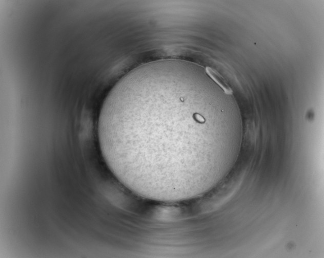 X0000102390220200808151928