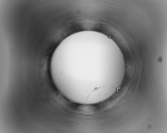 X0000102390221200808151928