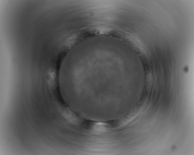 X0000102390222200808151928