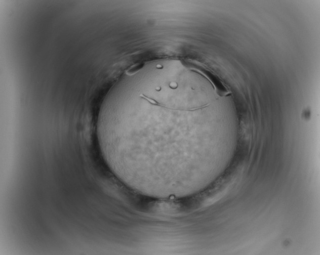 X0000102390223200808151928