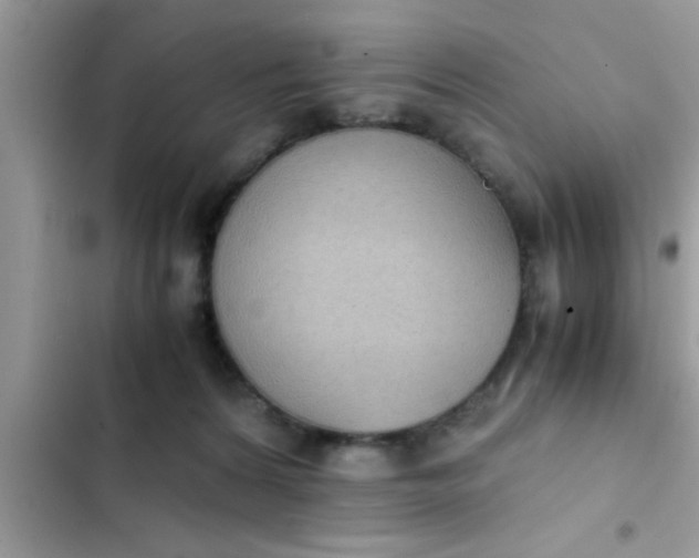 X0000102390224200808151928