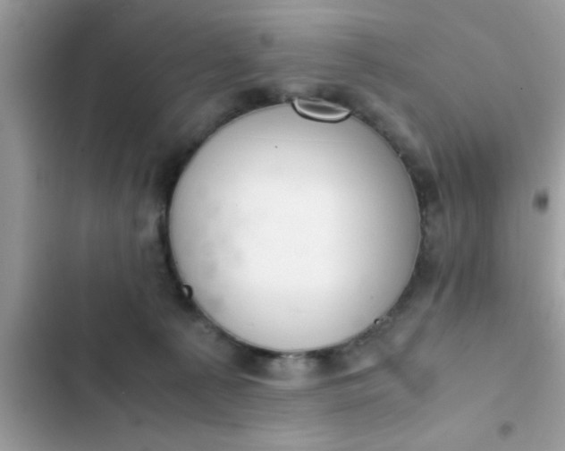 X0000102390225200808151928