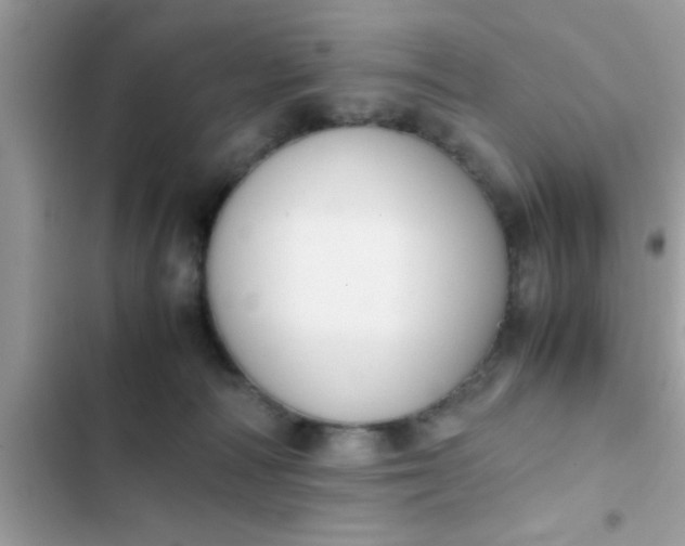 X0000102390226200808151928