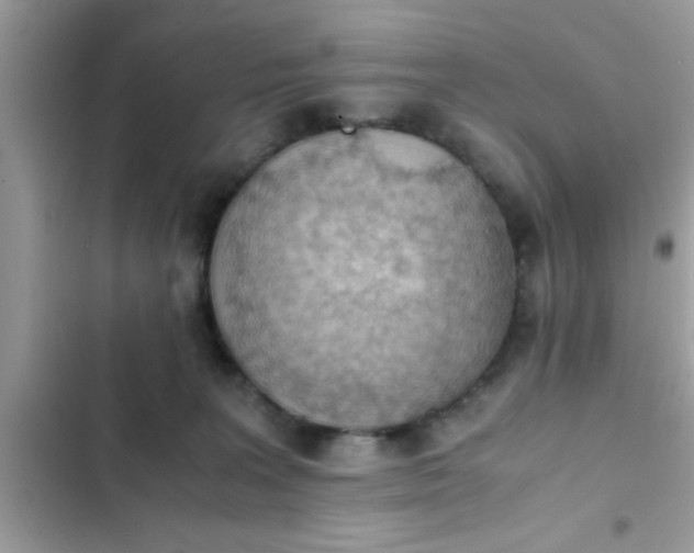 X0000102390227200808151928