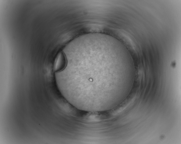 X0000102390228200808151928