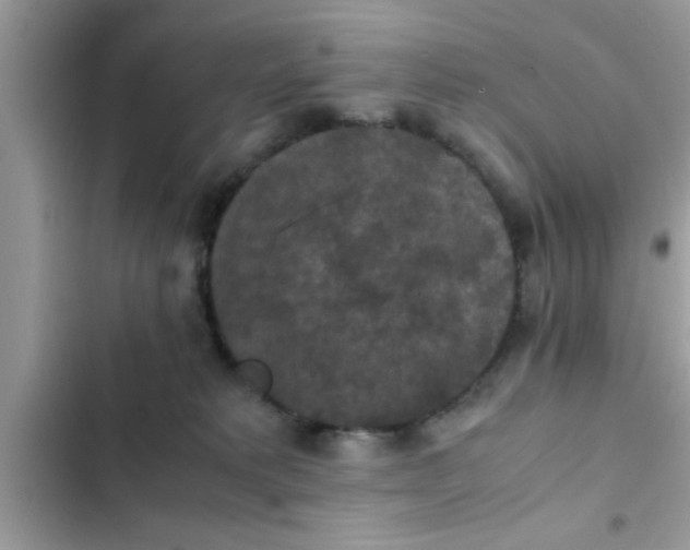 X0000102390229200808151928