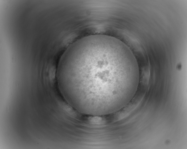 X0000102390230200808151928