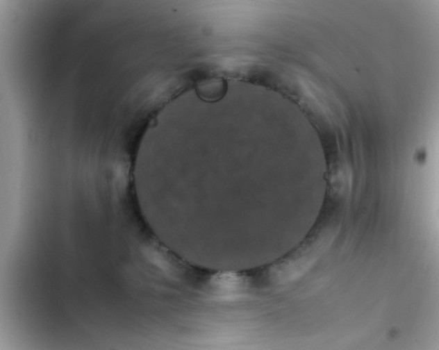 X0000102390231200808151928