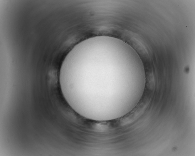 X0000102390232200808151928