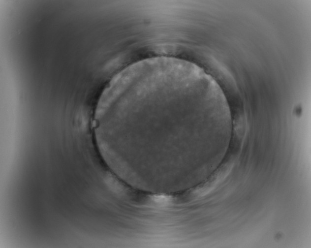 X0000102390233200808151928