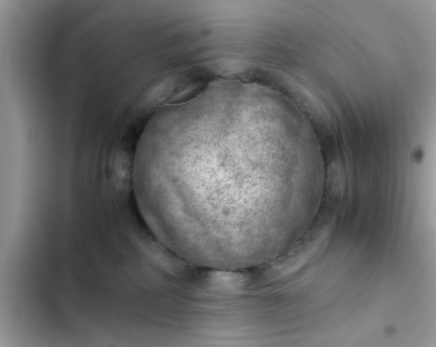 X0000102390234200808151928