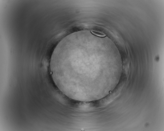 X0000102390235200808151928