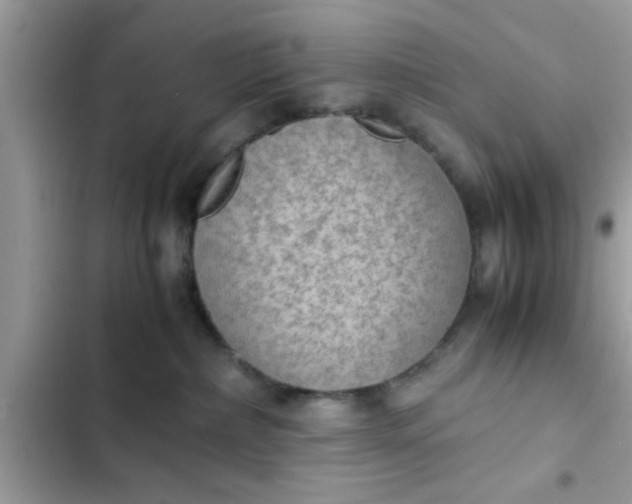 X0000102390236200808151928