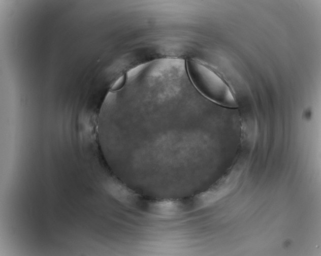 X0000102390237200808151928