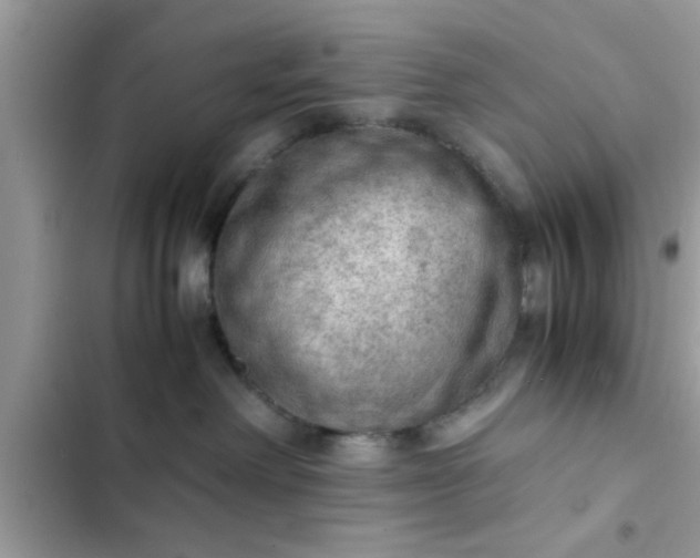 X0000102390238200808151928