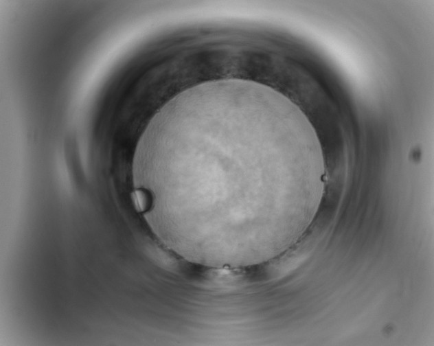 X0000102390239200808151928