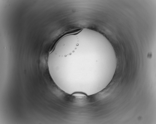 X0000102390240200808151928