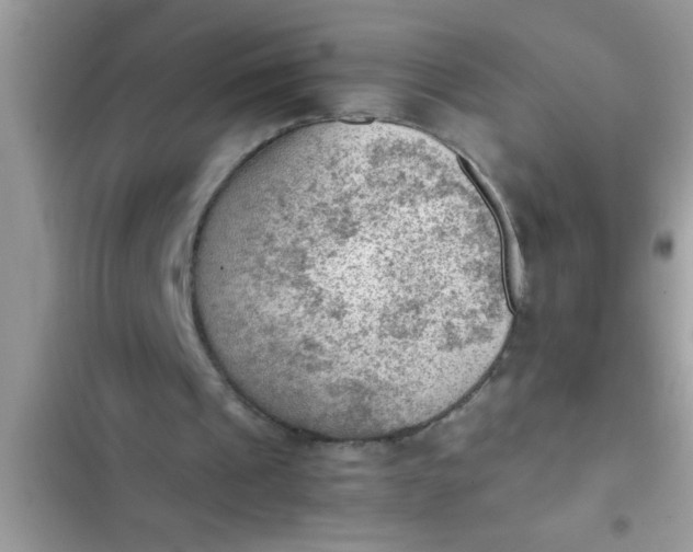 X0000102390241200808151927