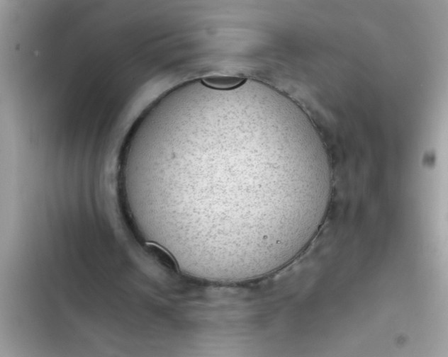 X0000102390242200808151927