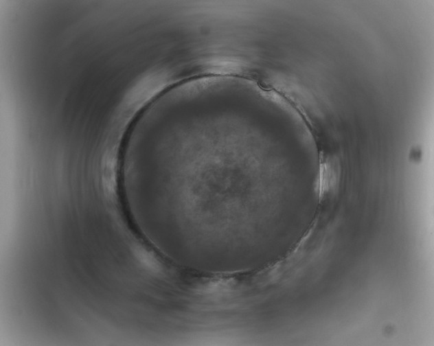 X0000102390243200808151927