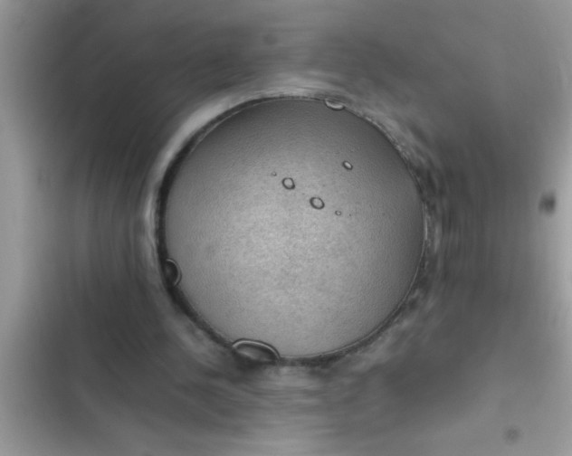 X0000102390244200808151927