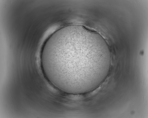 X0000102390245200808151927