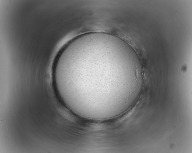 X0000102390246200808151927